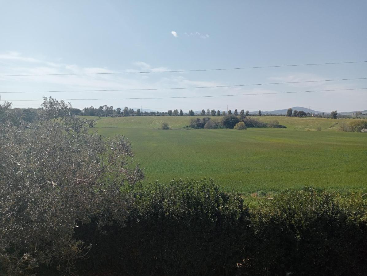 Villa In Campagna Tra Natura E Verde Montalto di Castro Luaran gambar
